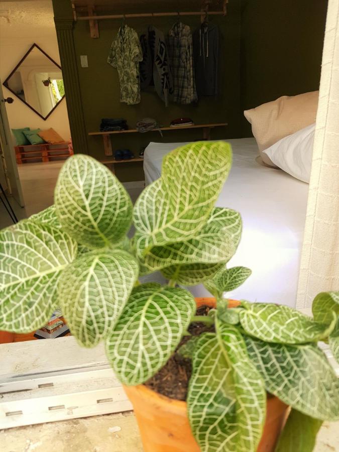 בוקארמנגה Tatami Hostel מראה חיצוני תמונה
