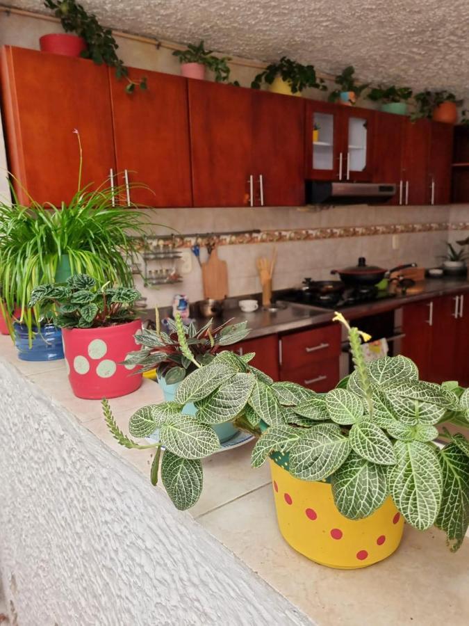 בוקארמנגה Tatami Hostel מראה חיצוני תמונה