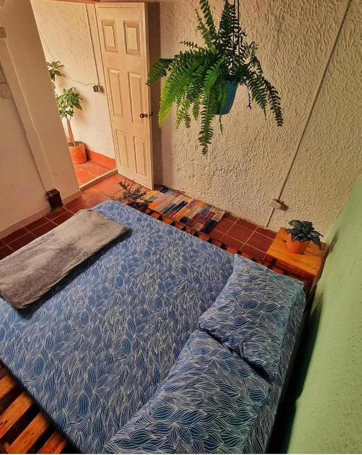 בוקארמנגה Tatami Hostel מראה חיצוני תמונה