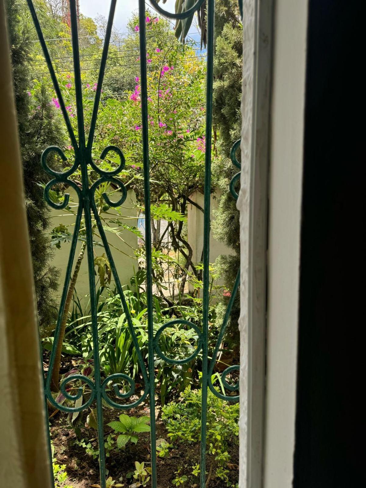 בוקארמנגה Tatami Hostel מראה חיצוני תמונה