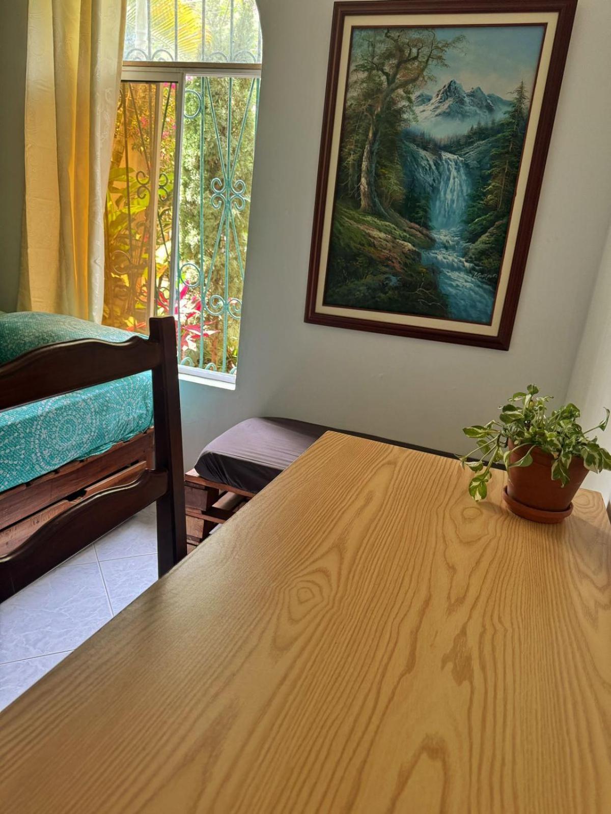 בוקארמנגה Tatami Hostel מראה חיצוני תמונה