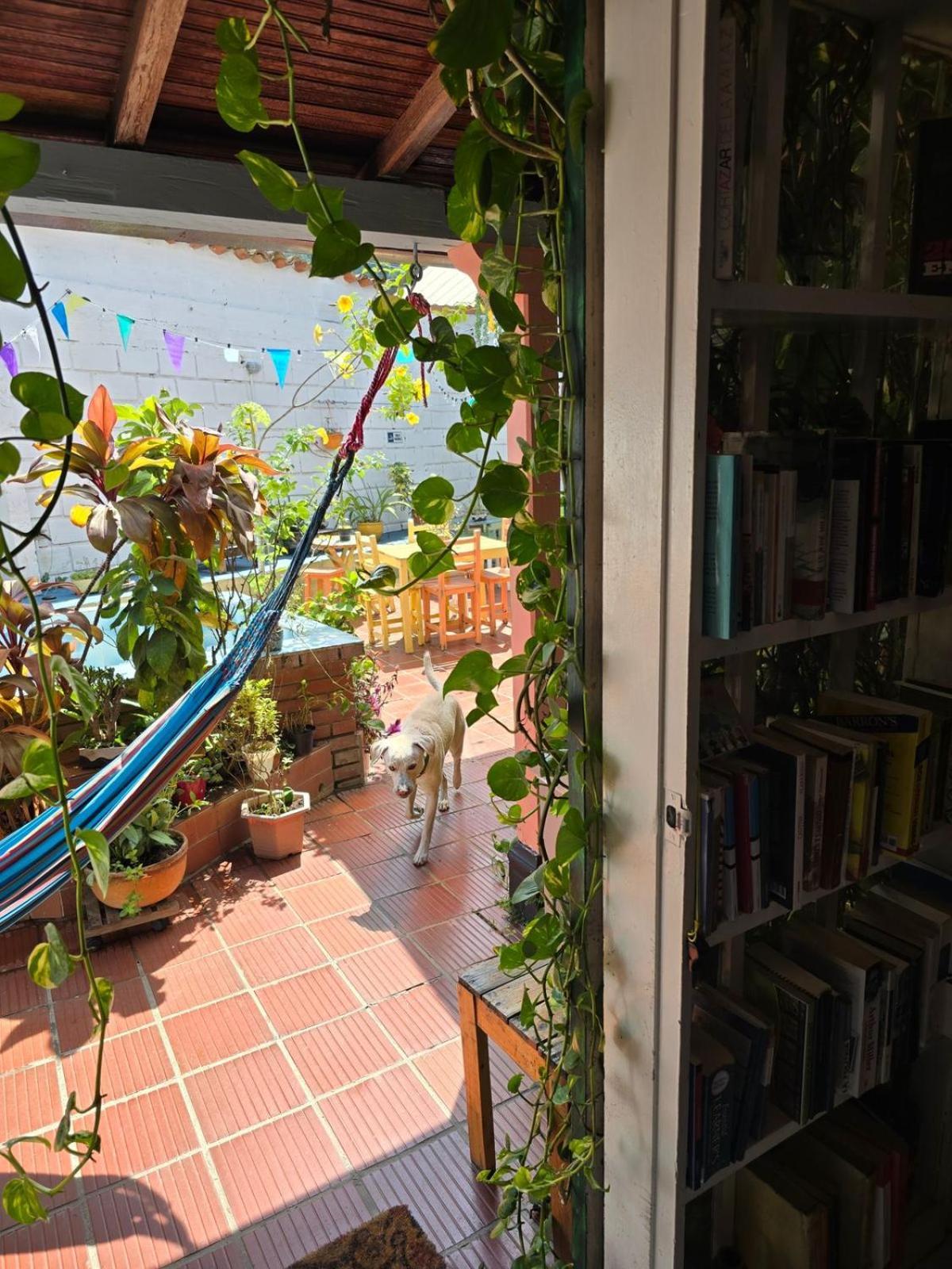 בוקארמנגה Tatami Hostel מראה חיצוני תמונה